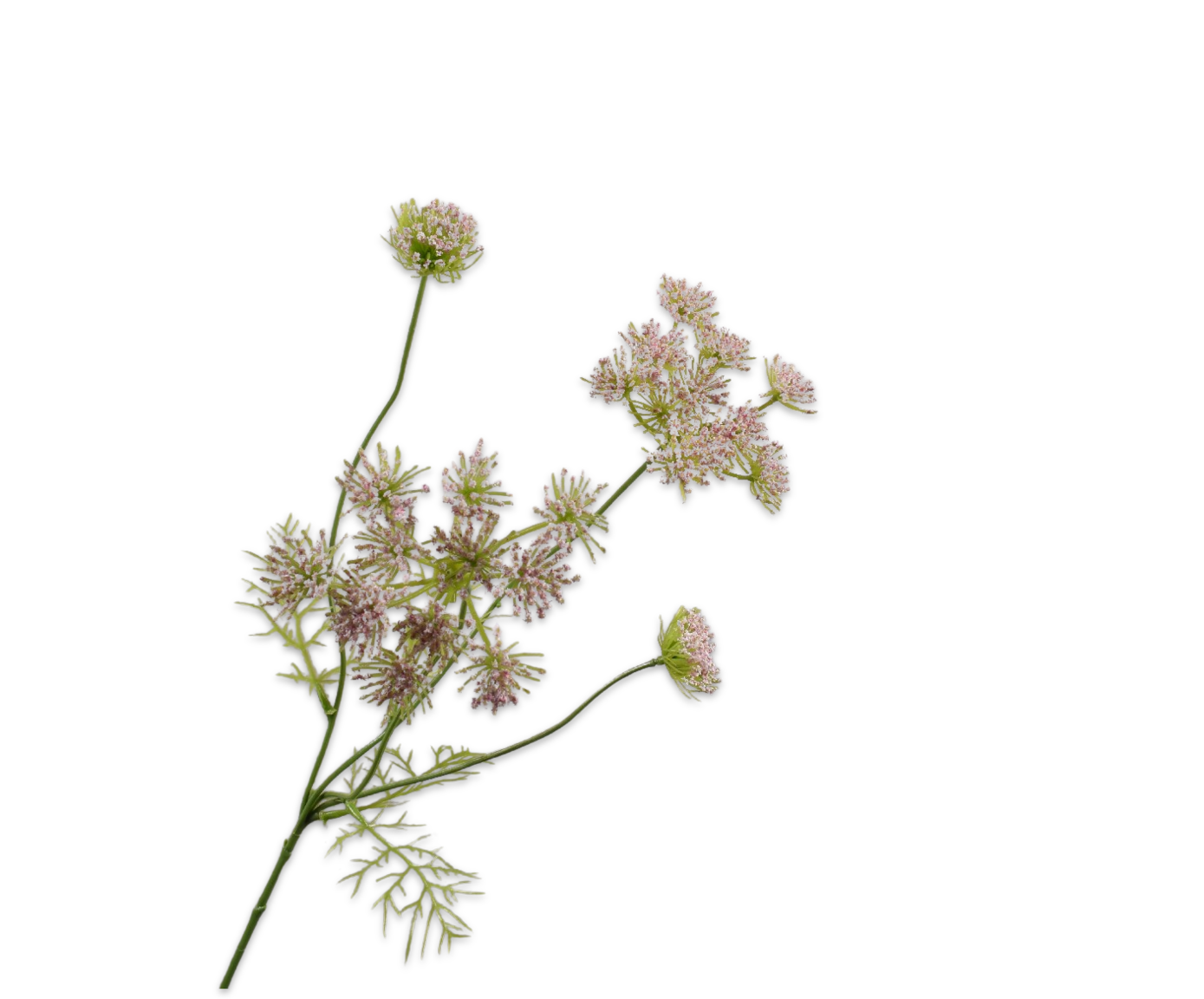 Kunstbaum & -pflanze