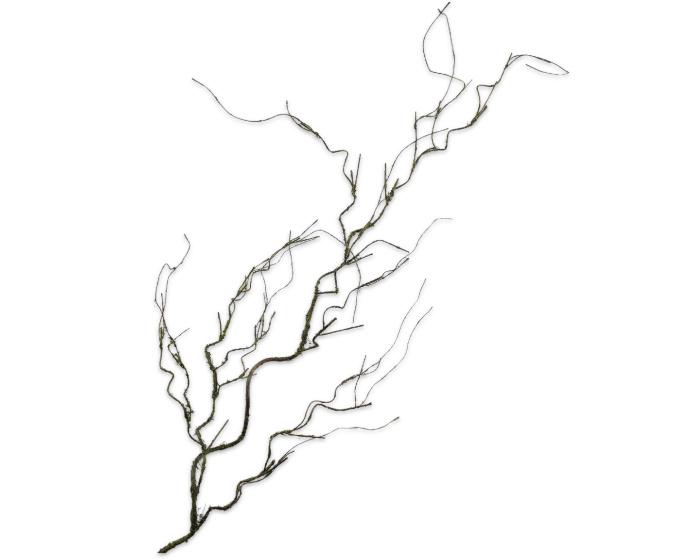 Kunstbaum & -pflanze