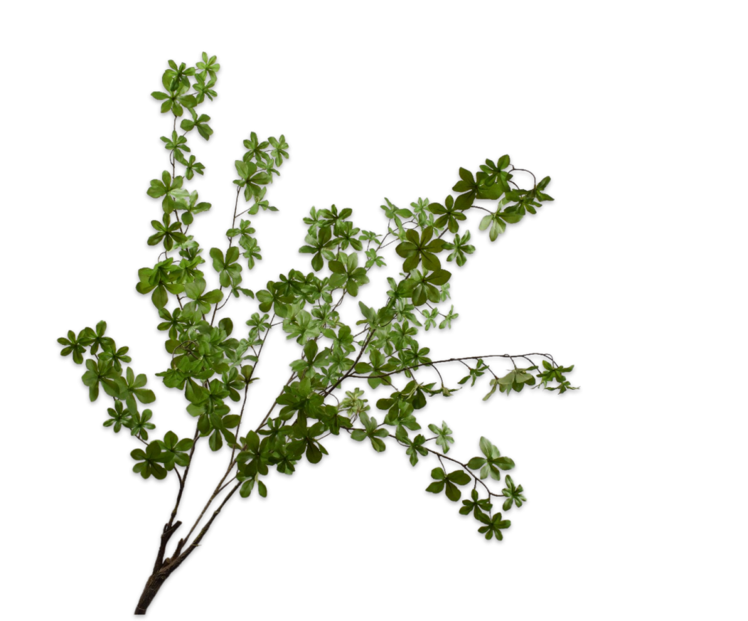 Kunstbaum & -pflanze